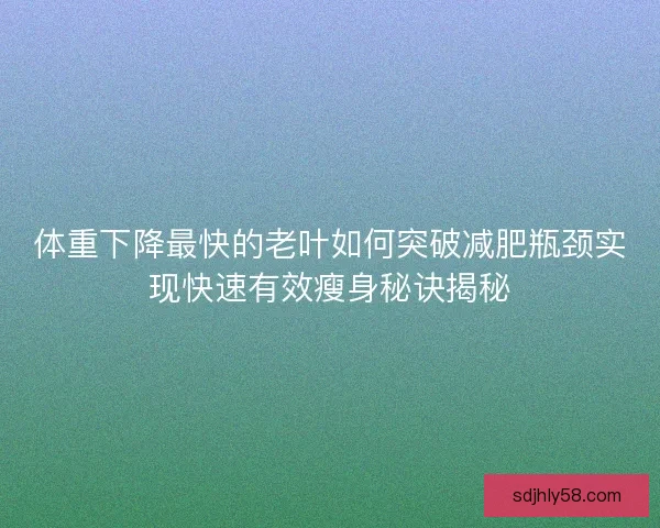 体重下降最快的老叶如何突破减肥瓶颈实现快速有效瘦身秘诀揭秘