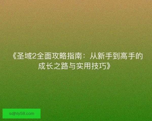 《圣域2全面攻略指南：从新手到高手的成长之路与实用技巧》